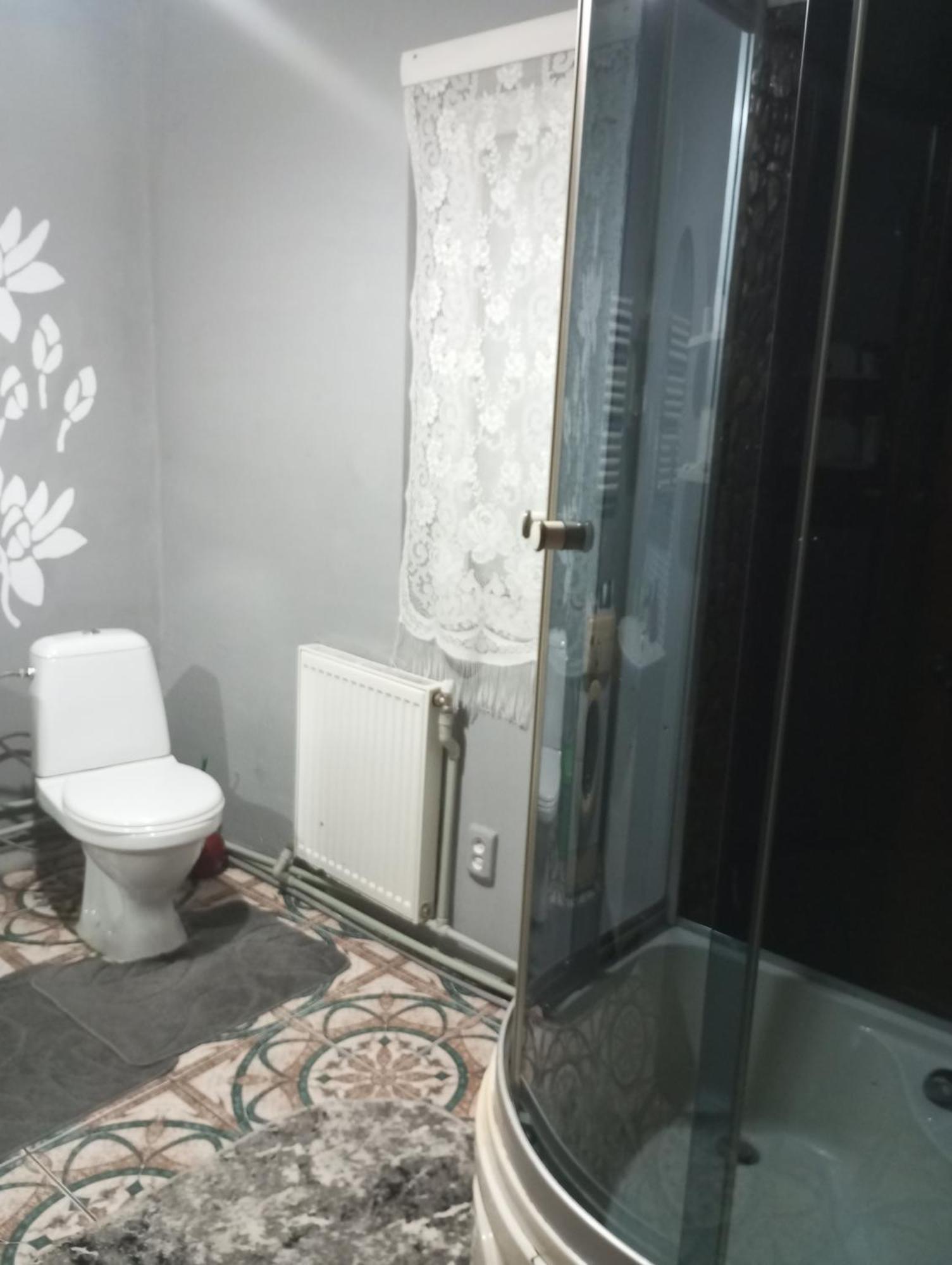 Карпатські Ночі Чан На Території Apartment Iaremcea Exterior foto