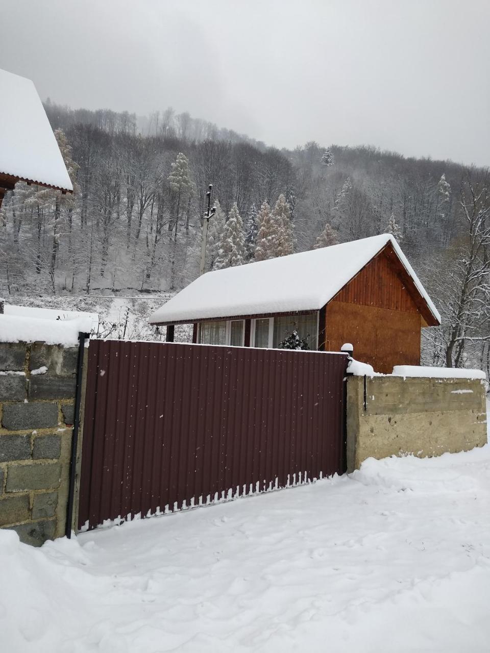 Карпатські Ночі Чан На Території Apartment Iaremcea Exterior foto