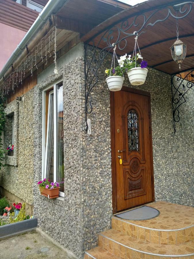 Карпатські Ночі Чан На Території Apartment Iaremcea Exterior foto